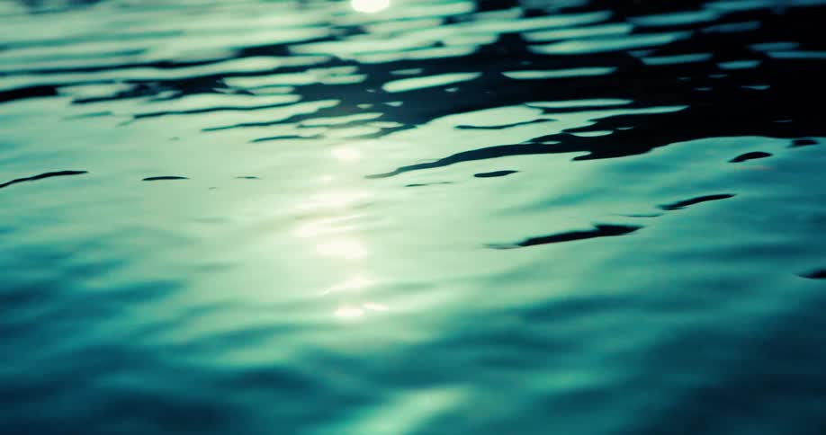 Sunlight and shade are on the water