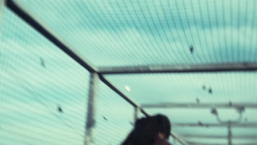 Dreadlocked man walking across an overpass