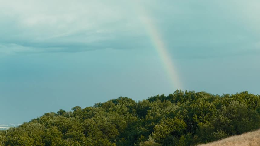 Trees on a mountain and a rainbow in a cloudy sky