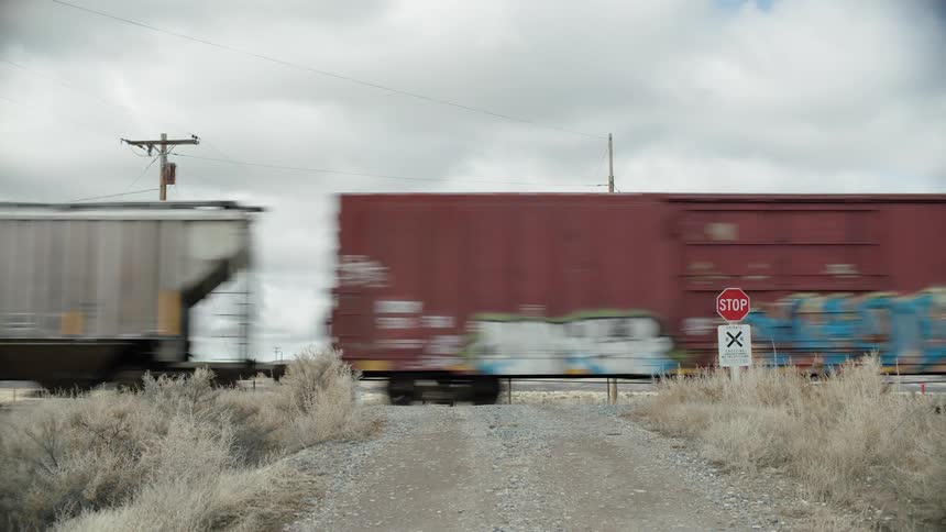 Freight train passing through a natural area