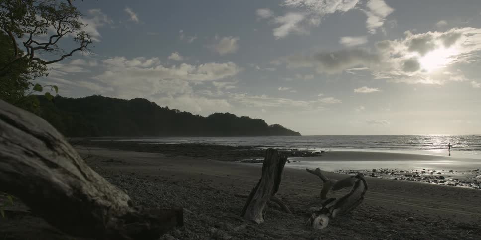 A serene beach at sunset with a dark coastline stretching into the distant horizon and scattered driftwood in the foreground