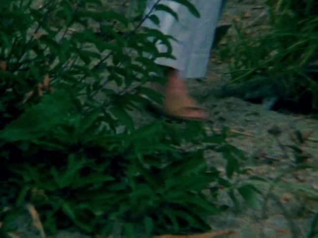 Woman walks between clumps of plants in a summer outfit