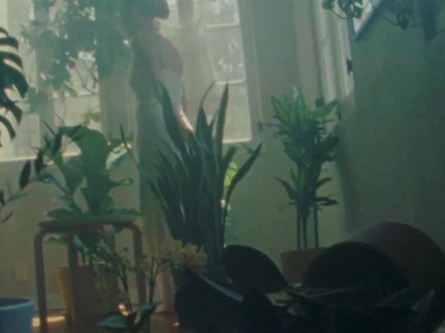 Person walks among plants in a room lit by tall windows with soft light streaming in