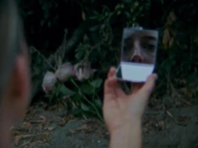 A woman holds a small rectangular mirror reflecting a close up view of her own face against a dark background of foliage and branches