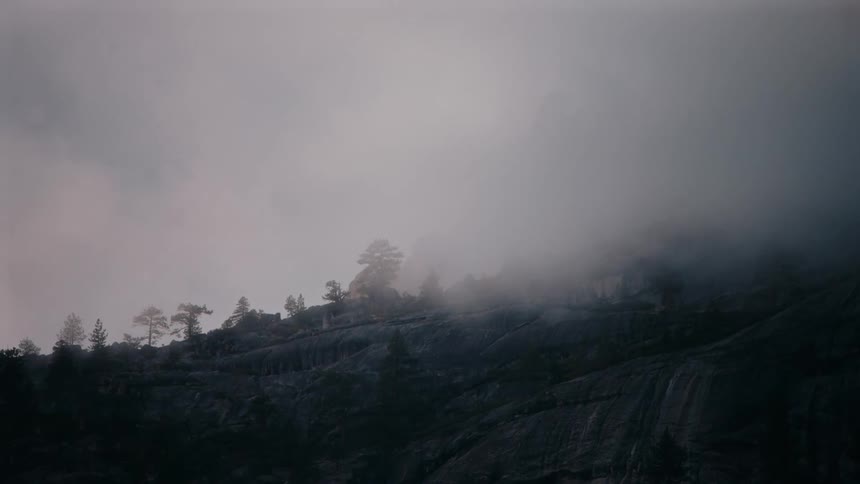 A foggy hillside with scattered trees rises through mist creating a moody and atmospheric landscape