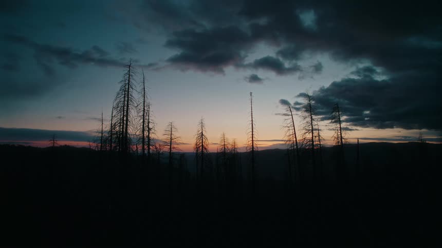 Leafless trees and low hills stand silhouetted against a red horizon