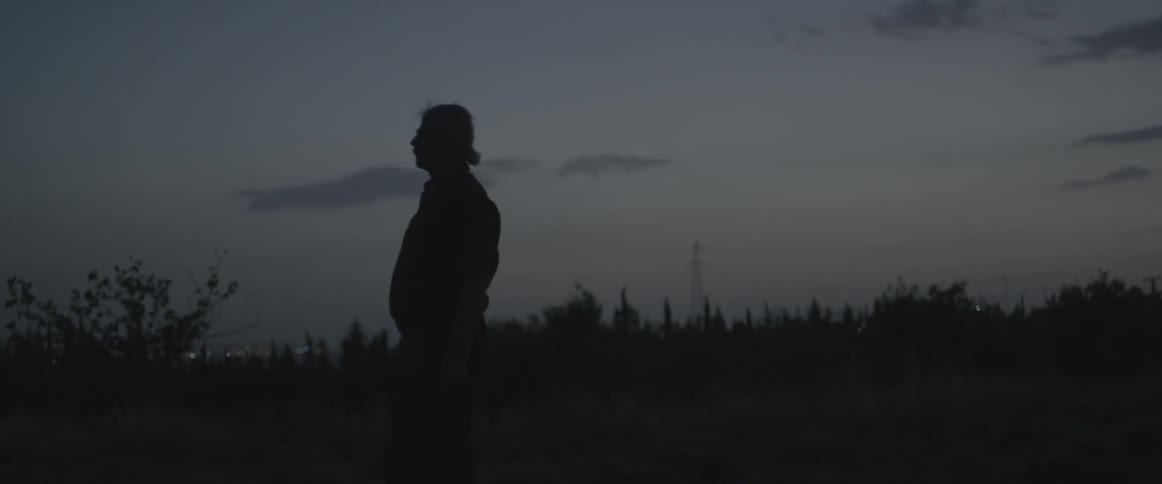 A man stands on a field at dawn