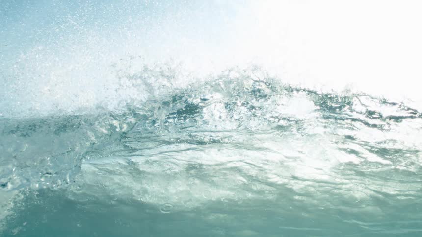 A large wave forms and crashes