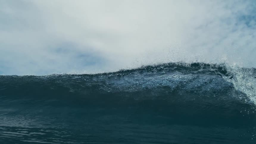 A powerful ocean wave rises under a clear blue sky