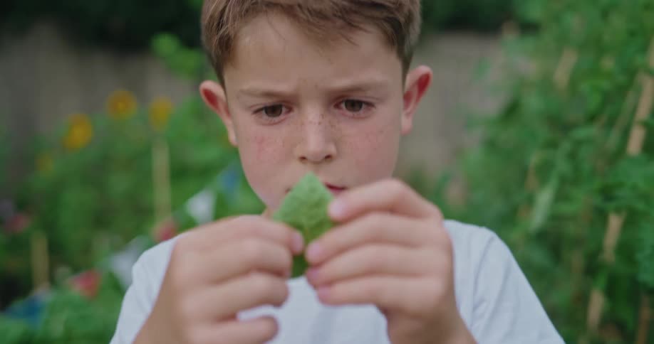 A child in a white tshirt examines a small green leaf in a lush garden surrounded by leafy plants supported by wooden stakes and a string of colorful triangular flags fluttering above