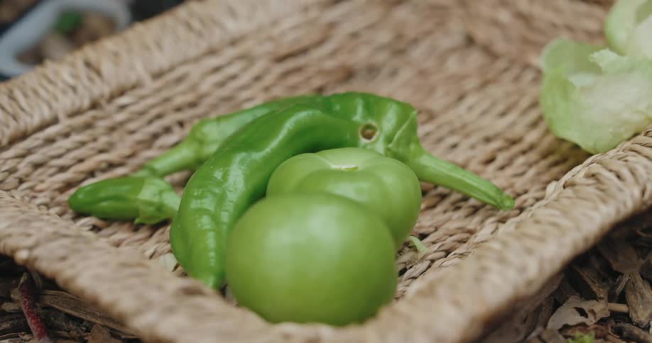 Green peppers and tomatillos rest in a woven basket on the ground