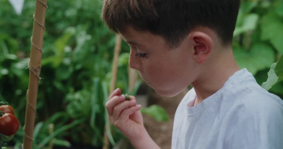 Boy with white tshirt eating tomato in a garden setting
