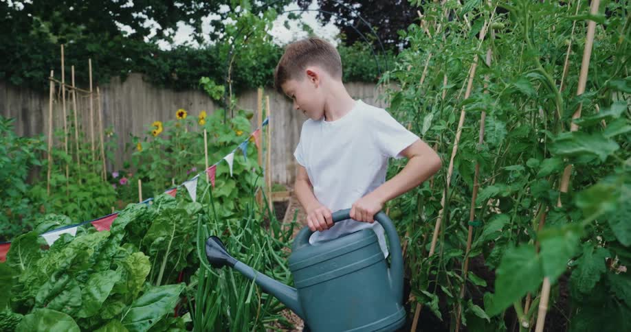 Boy watering a vegetable garden