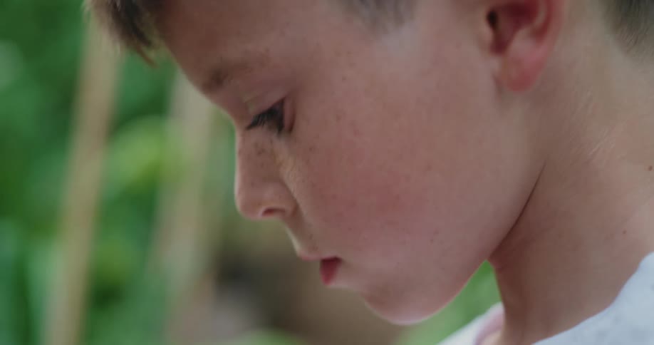 Child picks a tomato in his garden and eats it immediately