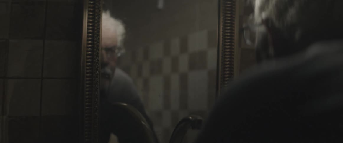 A man is looking into a mirror