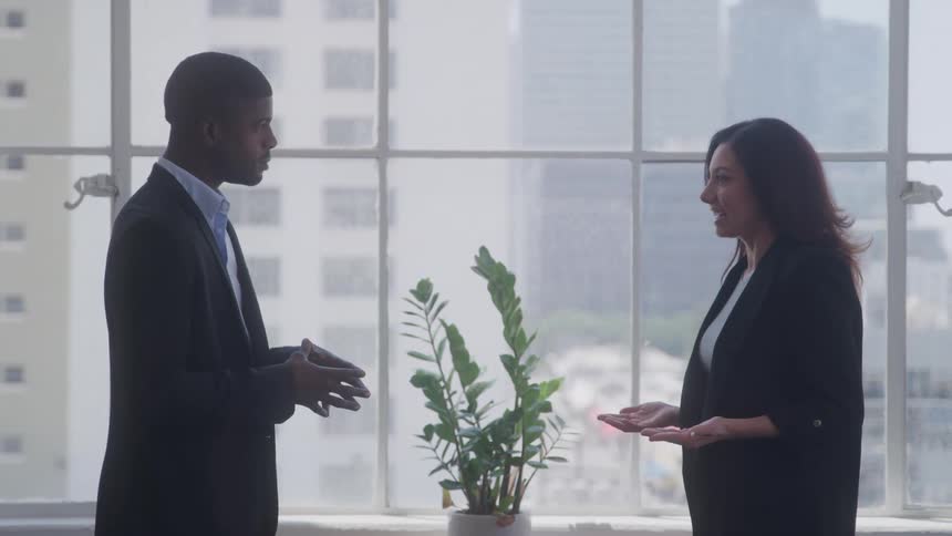 A black businessman and a businesswoman with brown hair are standing on opposite sides of a plant gesturing with their hands as they have a discussion in front of a large office window with a cityscape outside