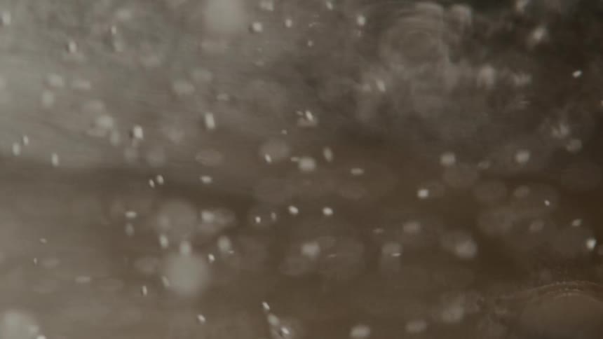 Extreme close up bubbles rising from carbonated liquid