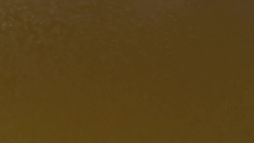 Close up of thick beer froth rising to the top of glass