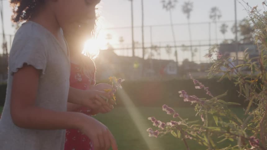 Two little girls picking pink flowers from a plant outdoors