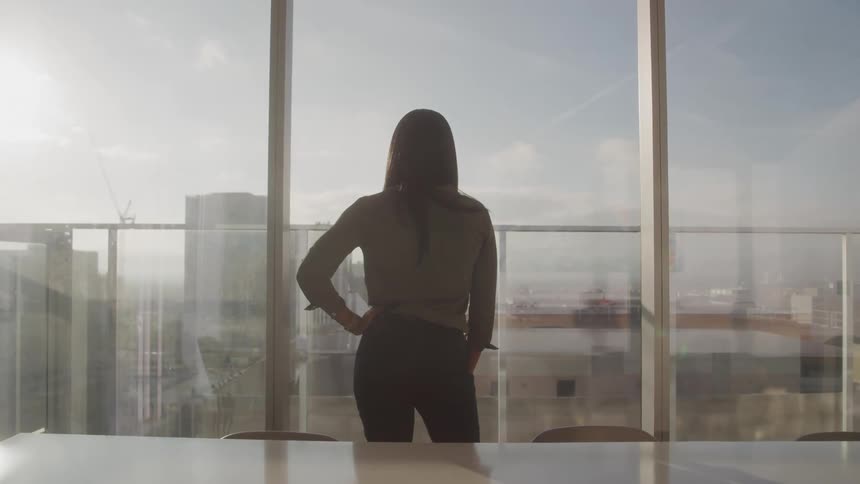 Woman from behind looking at a panoramic view of a metropolis while standing in an office room