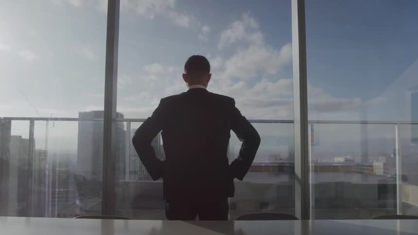 Man in elegant suit seen from behind looking through a window