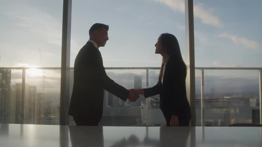 Two colleagues shaking hands in the office