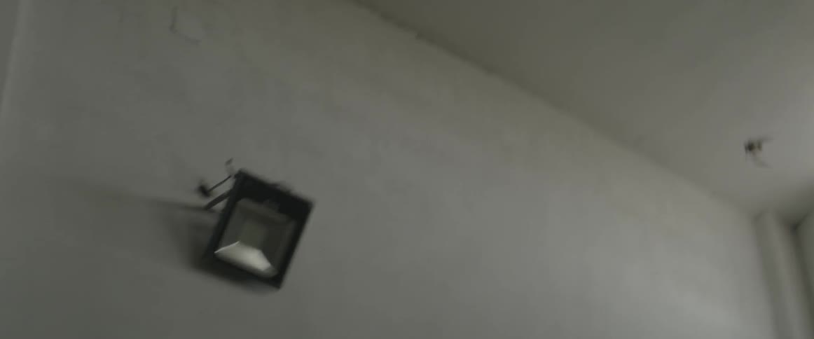 A bird flies inside a room
