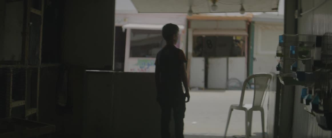 A boy looks out towards a city street