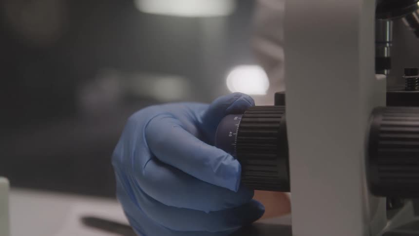 A gloved hand carefully adjusts the focus knob of a microscope in a laboratory setting