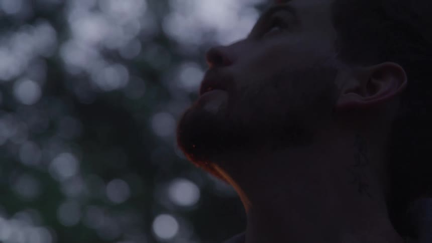 Bearded man looking around while standing in a forest