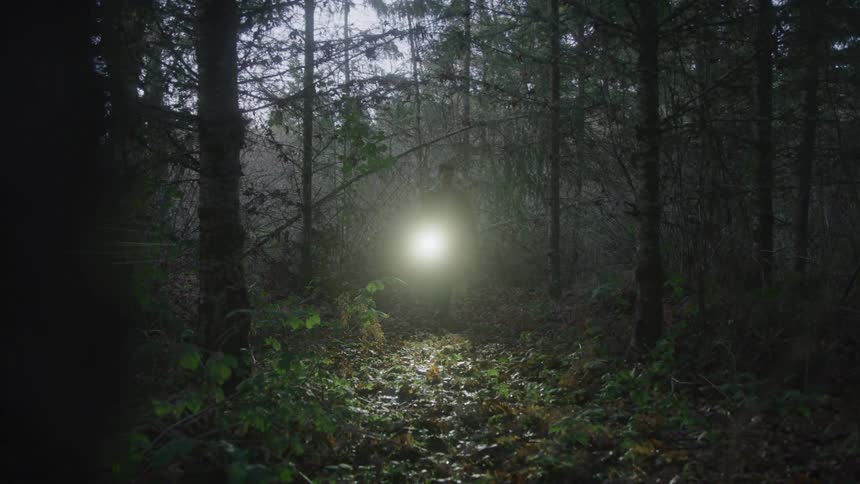 Man walking in a forest with a flashlight