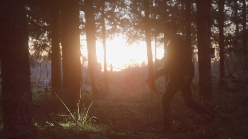 Man with a flashlight walking in a forest at sunset