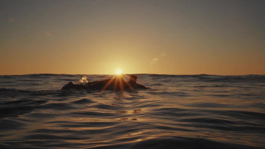 Two people float together in the ocean at sunset
