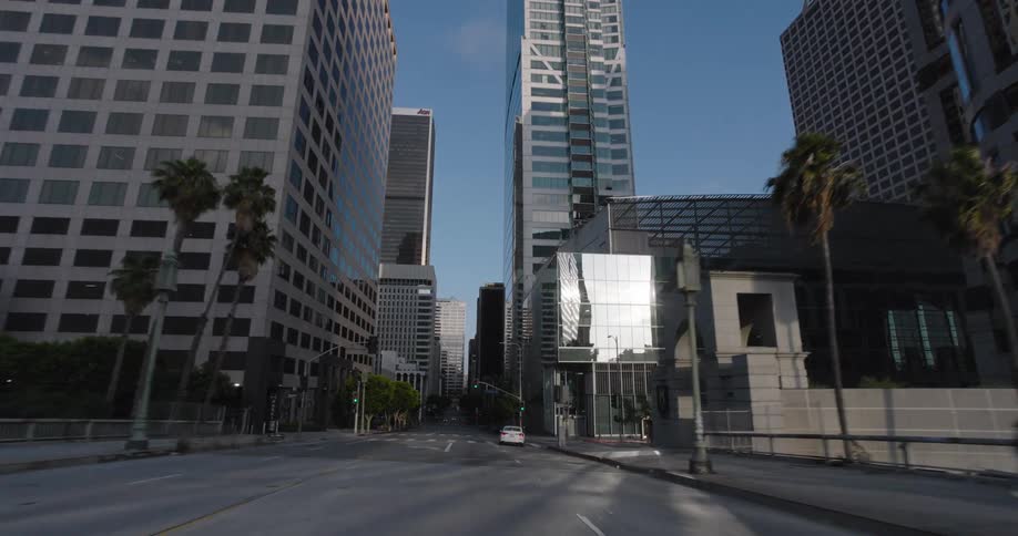 A bright wideangle street view of a modern downtown city characterized by numerous towering skyscrapers and scattered palm trees under a clear sky