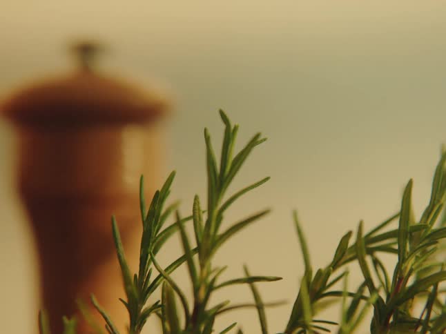 Large bunch of herbs standing in front of a wooden pepper mill