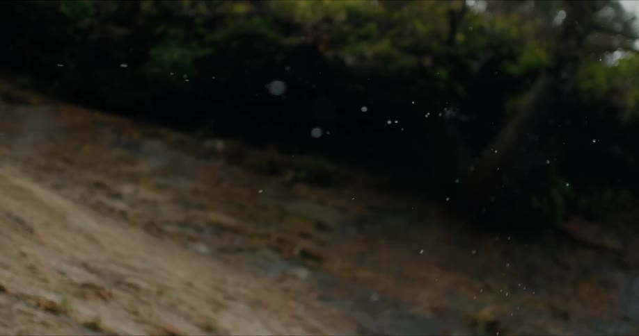 Water drops fly through the air above the muddy ground bordering the woods