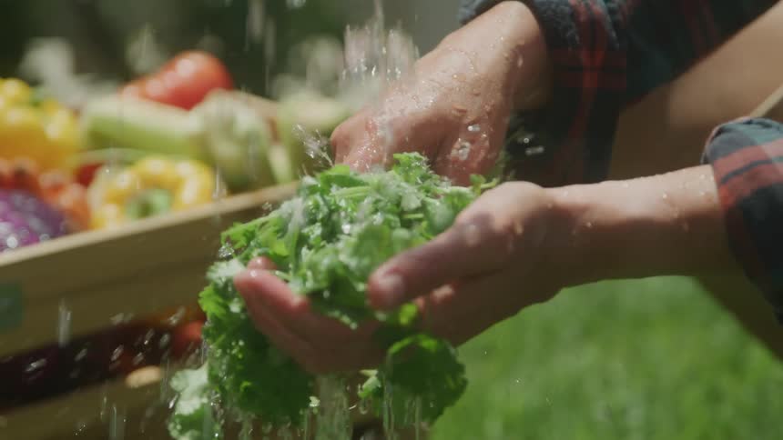 A person washes vegetables with water with a crate of other produce nearby