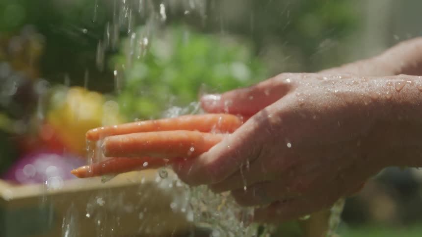 The person is cleaning carrots