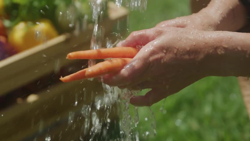 A person washes carrots