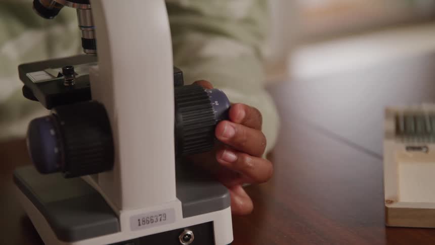 A close view shows a persons hand adjusting the focus knob on a white and black microscope with a box of slides nearby on a wooden table
