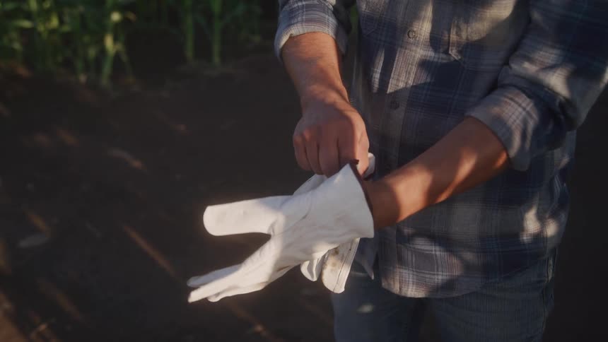Man putting on white gloves