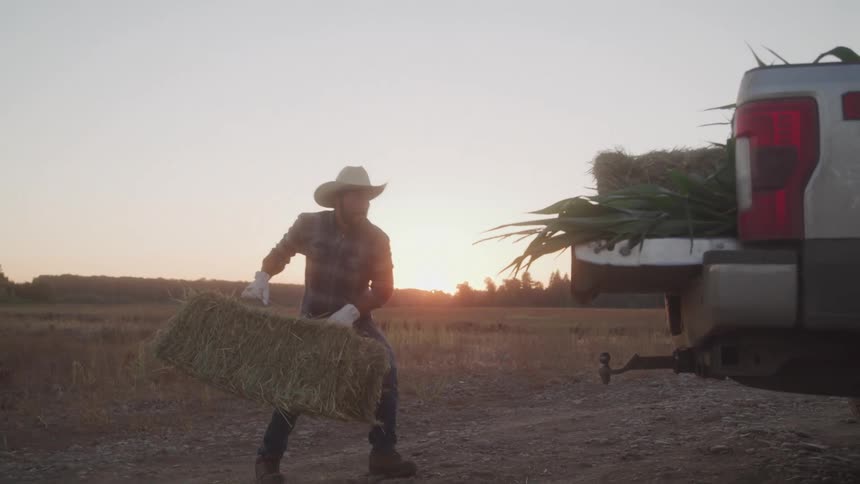 A man wearing a cowboy hat is picking up a pile of hay from the ground and putting it in the back of a car