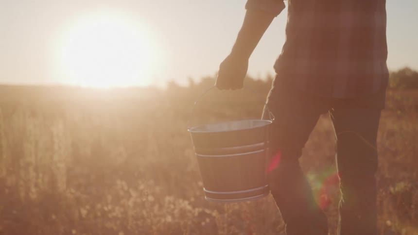 Person walks through field with bucket at golden hour