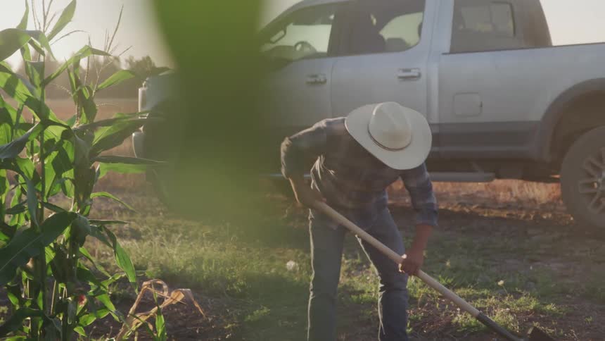 Man in hat weeding on a farm and rubbing his sweaty face