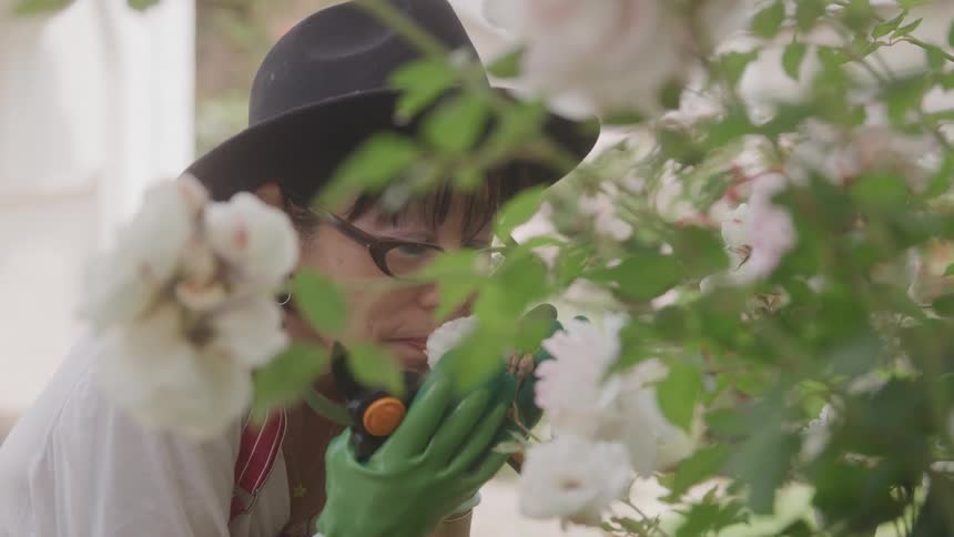 Gardener smells blooming flowers in a garden