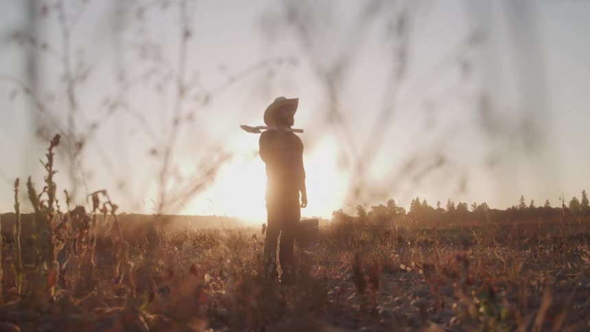 Man standing in a field at sunset holding farming equipment