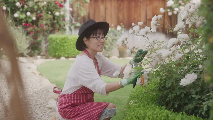 Woman in hat and gloves in a backyard gardening with white flowers