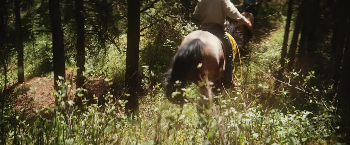 Two men riding horses through the woods