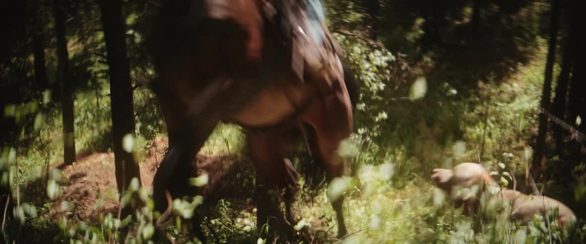 Two people ride horses through a forest with a dog running behind