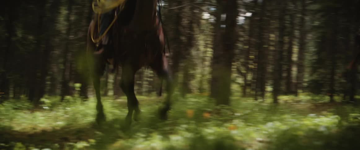 Two cowboys riding horses through the forest followed by a dog